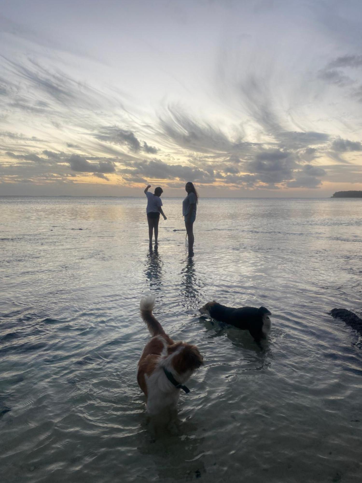 Vacation Beach House South Of Mauritius - Riambel 外观 照片